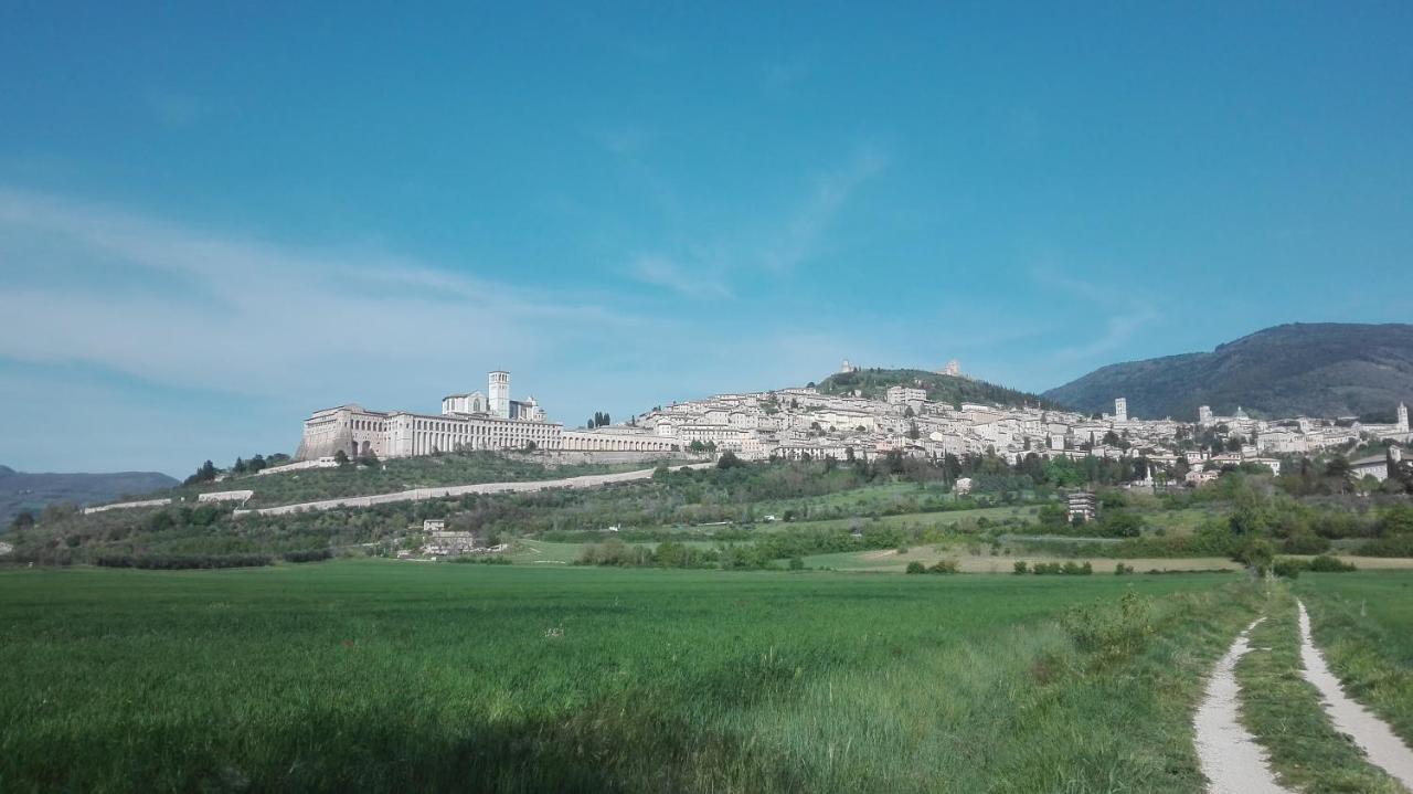 Casa Del Frate Leilighet Assisi Eksteriør bilde